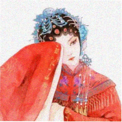 逐玉电视剧 主演王丽坤